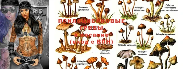 спиды Балахна