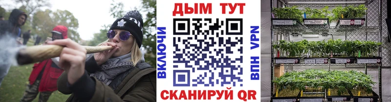 магазин    Городовиковск  ссылка на мегу сайт  Шишки марихуана план 